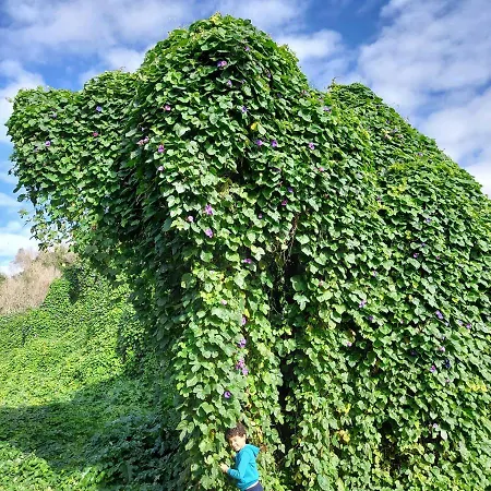 Sudest 3* Acquarica del Capo