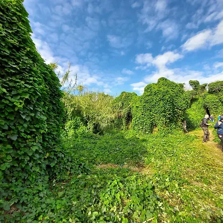 Bed and Breakfast Sudest