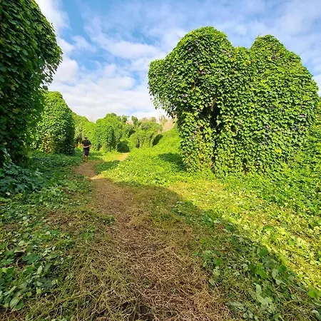 Sudest Bed and Breakfast