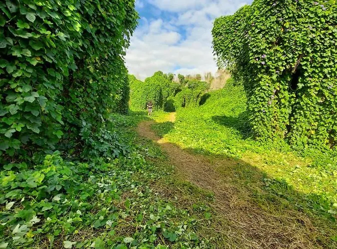 Sudest 3* Acquarica del Capo